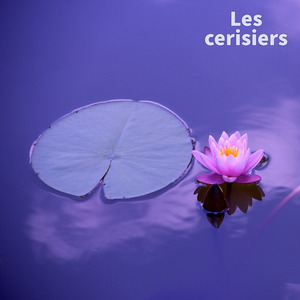 Les cerisiers