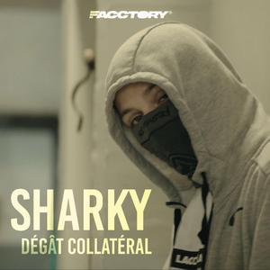 Dégât collatéral
