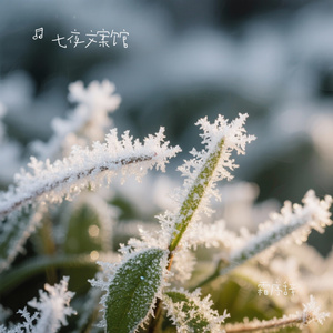 霜序辞