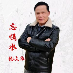 忘情水-杨文华