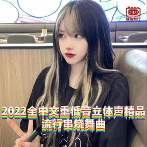 DJ国飞-2022全中文重低音立体声精品流行串烧舞曲（DJ国飞 remix）