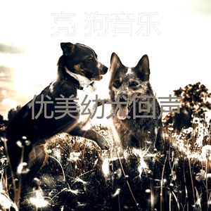 精彩训练犬环境