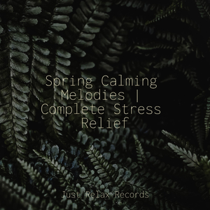 Dreamscaping Through Clouds