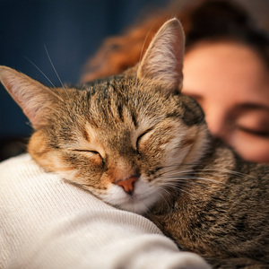 Latidos Ronroneantes Para Descansar
