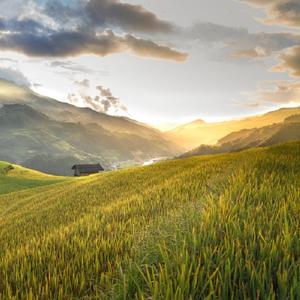 美美-翻唱小透明