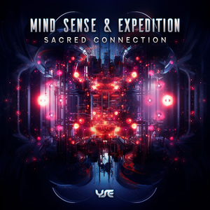 Sacred Connection (Serenity Flux Remix)