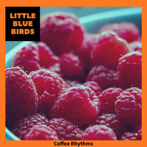 Sunny Days Summer Nights