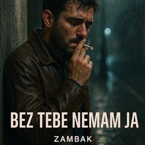 Bez tebe nemam ja