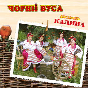 Чорнії вуса