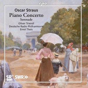 Serenade for String Orchestra in G Minor, Op. 35: I. Allegro commodo