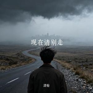 现在请别走 (Cover 卢润泽)
