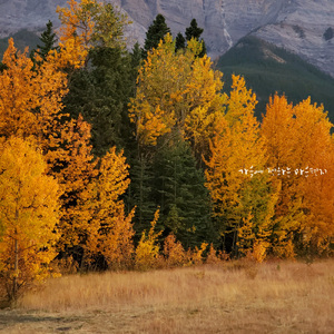 가을에 전하는 마음편지