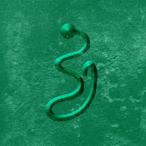 Veleno (Pablo Nouvelle Cuidado! Remix)