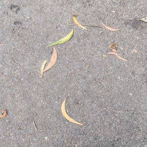 小雨后的晴天