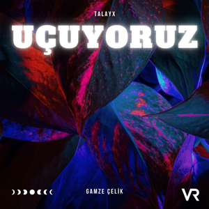 Uçuyoruz