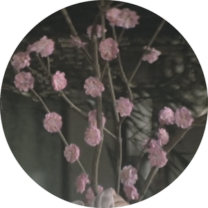 Strayed And Aimless (Original Mix)