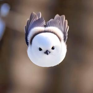 《与自己相拥》