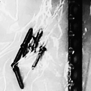 Rage on Stage (Instrumental)