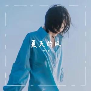 夏天的风demo