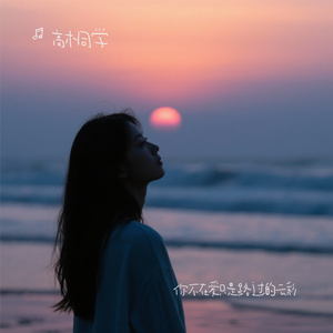 你不在爱只是路过的云彩