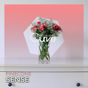 Sense (Original Mix)
