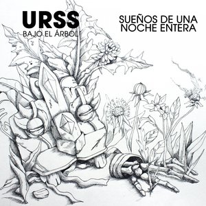 Sueños de una Noche Entera