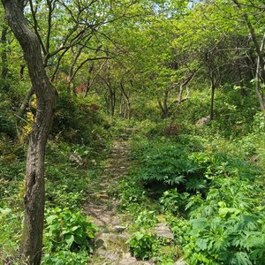 刷等级，刷乃不刷，不刷乃刷