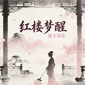 红楼梦醒