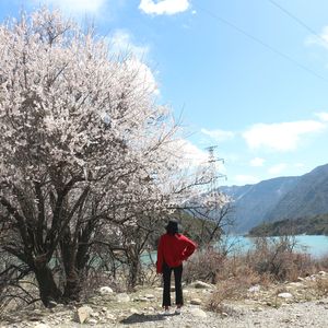 杨柳溪风-宝贝宝贝（杨柳溪风 remix）