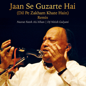 Jaan Se Guzarte Hai (Remix / Dil Pe Zakham Khate Hain)
