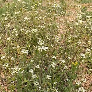 都怪你让我任性