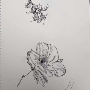 凌晨六点半