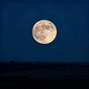 我记得 (Cover 赵雷)