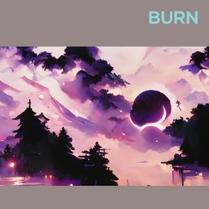 Burn (Remix)