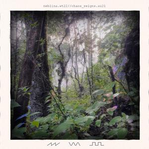 neblina.wt22 (feat. Jonah Warschaw & Kesten)