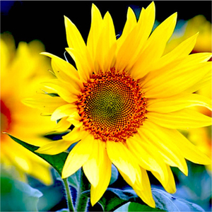 চার শ্রেণির মানুষ অভিশপ্ত নতুন ইসলামিক ভিডিও