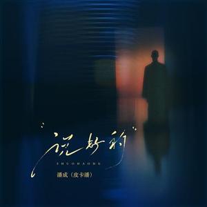 说好的 (DJ版)1.2x降调版