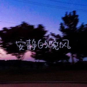 晚风（2021）