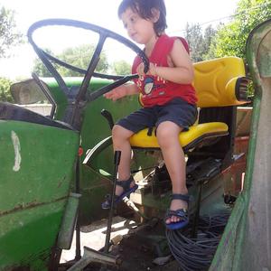 הגינדיסיוןהאלישוןהתפוזון