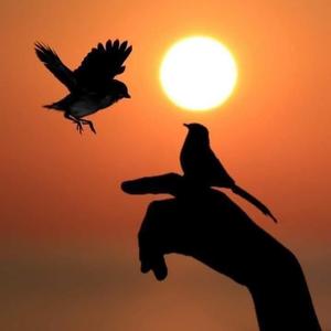 Uplifting LoFi Type Beat – Positive Energy