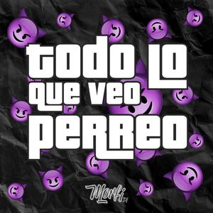 Todo Lo Que Veo Perreo