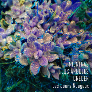 Me fui por las ramas