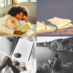 抚慰的小说回忆