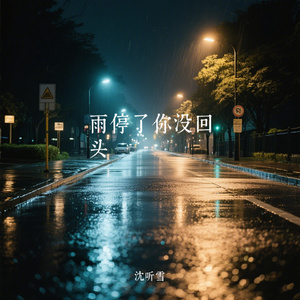 雨停了你没回头