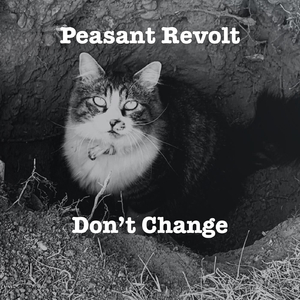 Don't Change