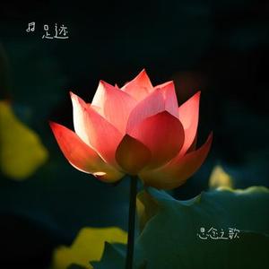 思念之歌 (Cover 马徤涛)