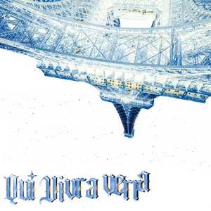 qui vivra verra（答案）