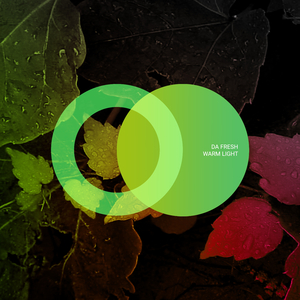 Warm Light (Original Mix)