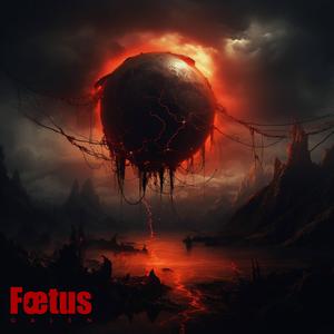 Fœtus
