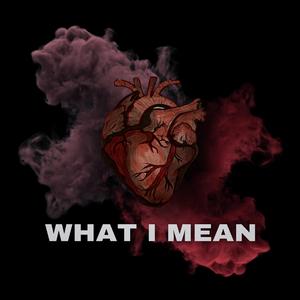 What I Mean